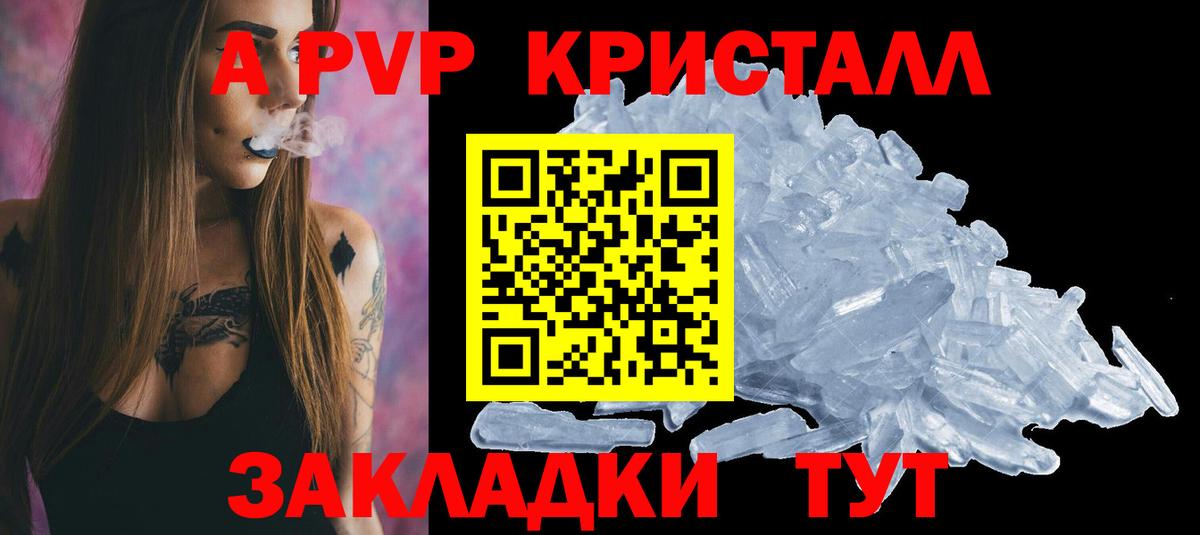 APVP СК Бердск