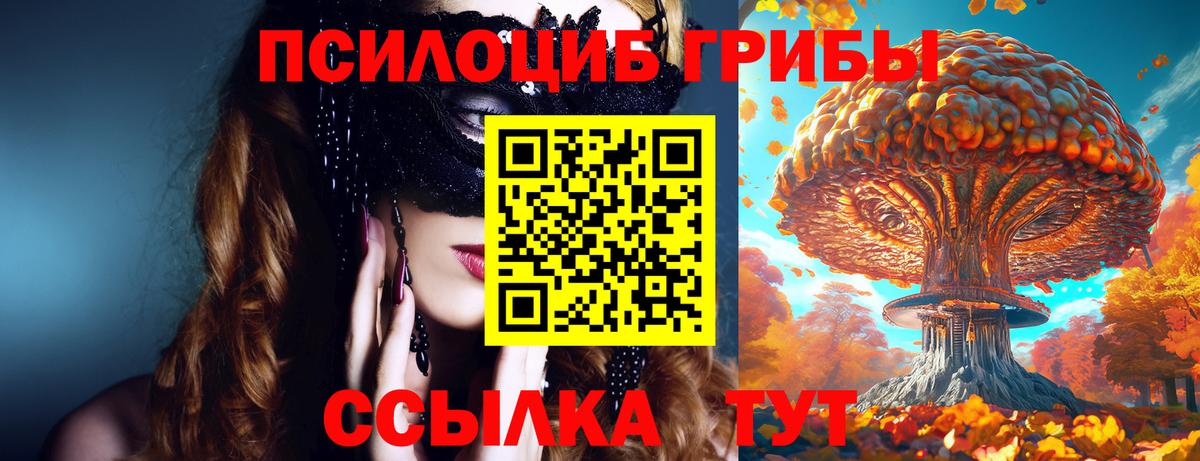 Псилоцибиновые грибы Cubensis Бердск